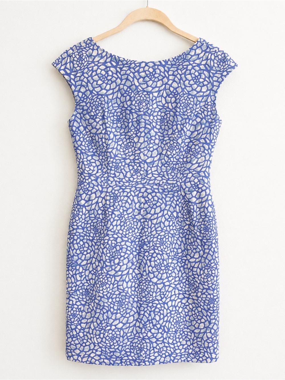 Cynthia Steffe Blue White Floral Fit Flare Dress Size 8 Cotton